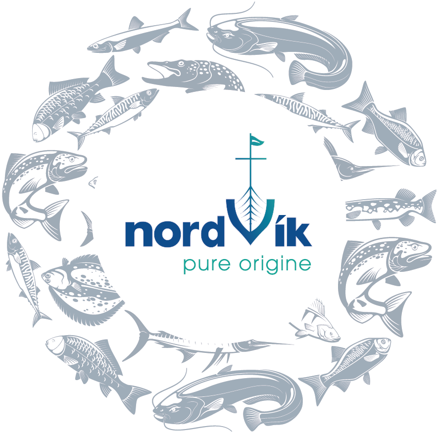 nordvik-maintenance